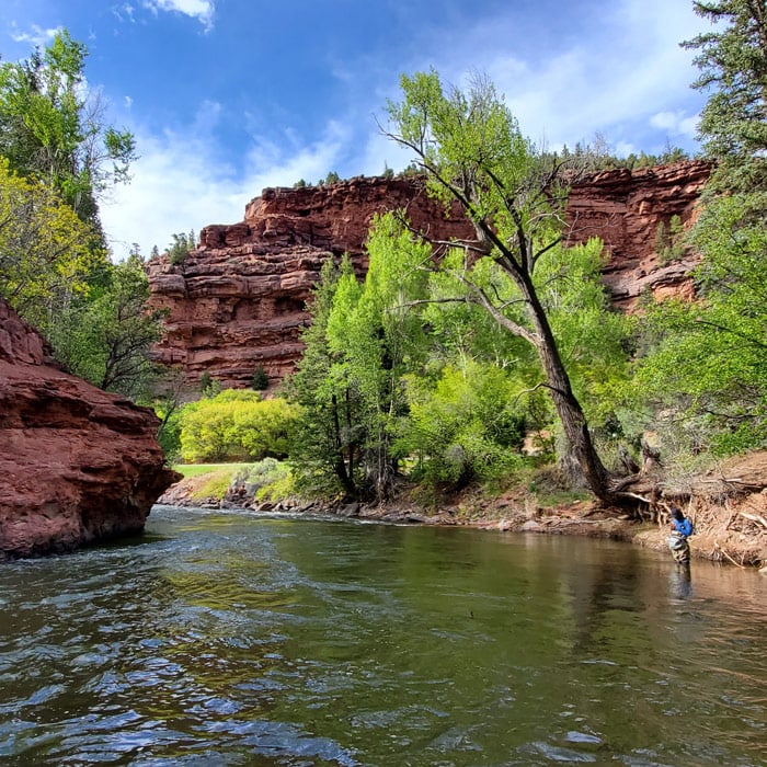 SW Colorado Guided Fly Fishing